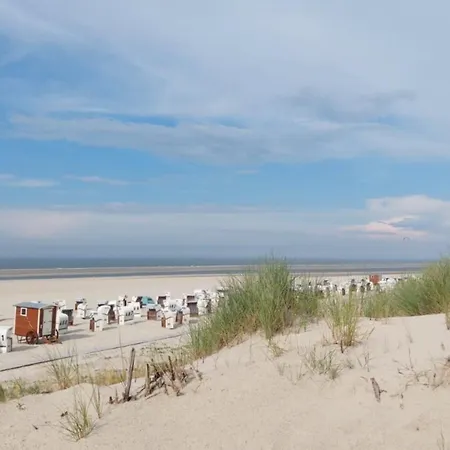 Friesenrose Nord * Spiekeroog