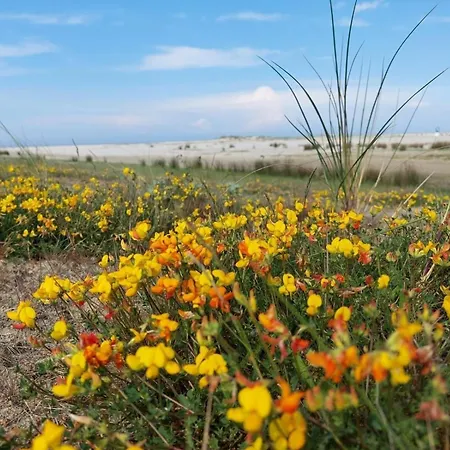 Apartamento Friesenrose Nord *