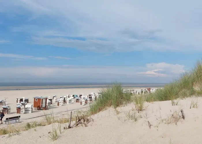 Friesenrose Nord * Шпикерог